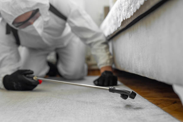 Professional Bed Bug Control technician working in Lake Ripley, WI