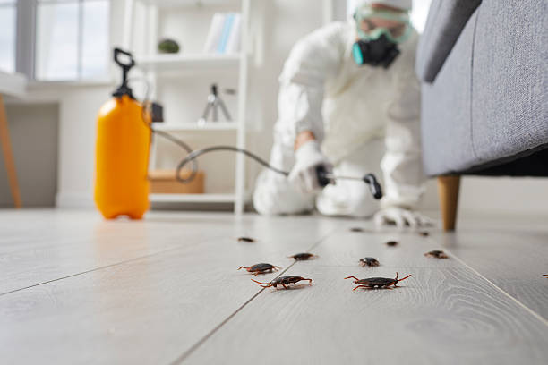 Trusted Fumigation Services service in Lake Ripley, WI - Nex Pest Control