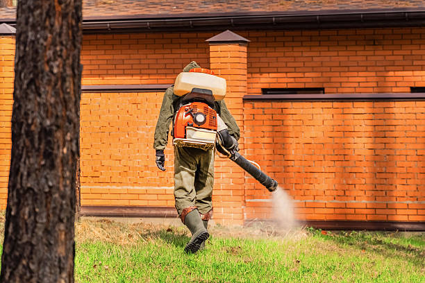 Trusted Rodent Control service in Lake Ripley, WI - Nex Pest Control